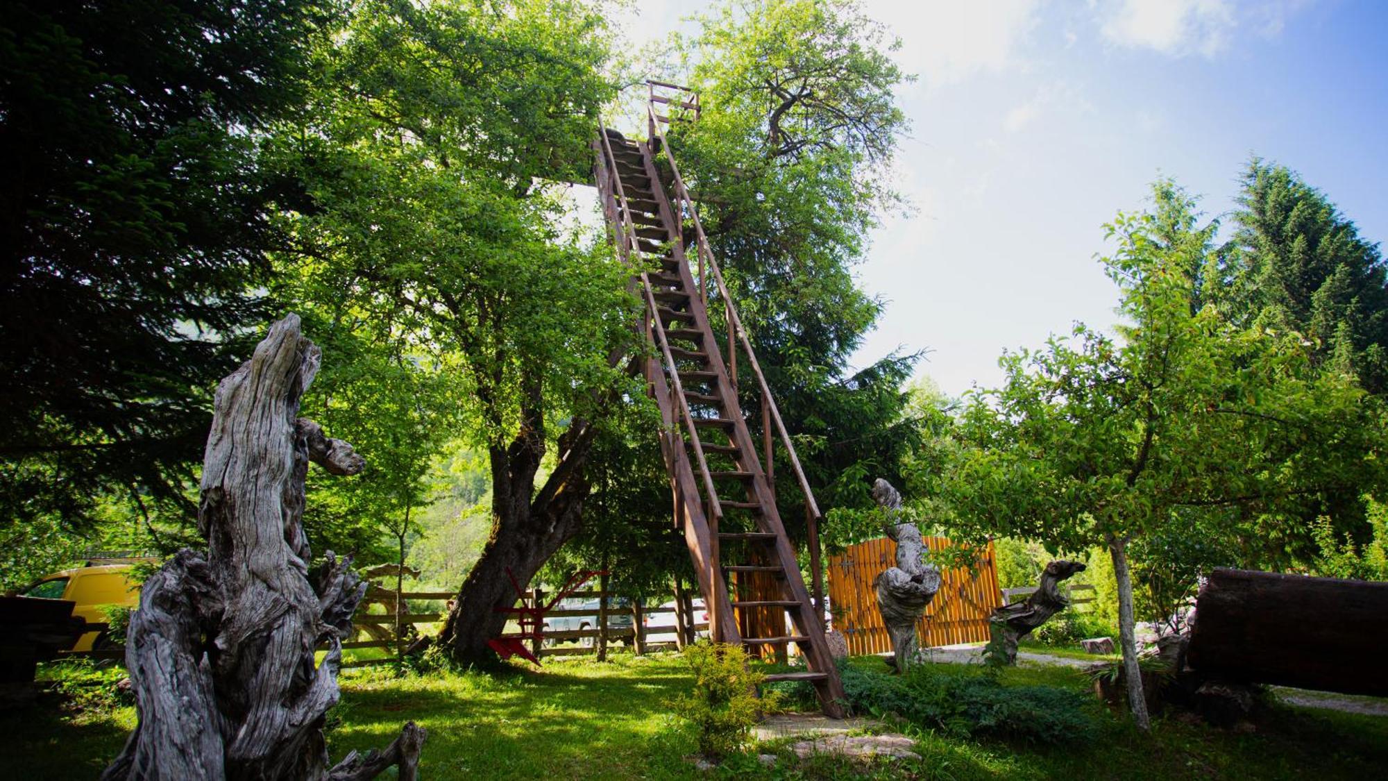 Ethno Village Stitarica Mojkovac Exteriör bild